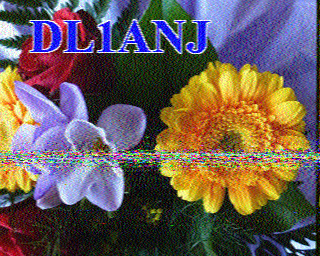 Image SSTV DL1ANJ
