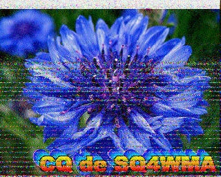 Image SSTV SQ4WMA