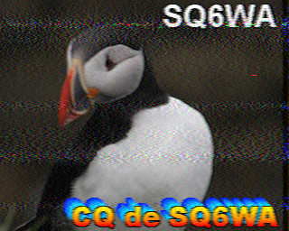 Image SSTV SQ6WA