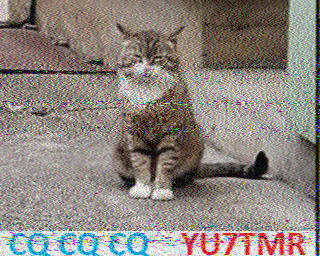 Image SSTV YU7TMR