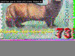 08/06/2026 à 19h07