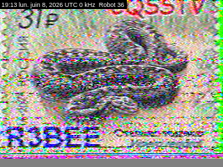 08/06/2026 à 19h13