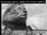 09/06/2026 à 18h24