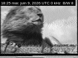 09/06/2026 à 18h25
