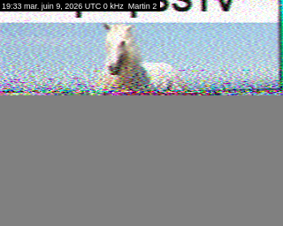 09/06/2026 à 19h33