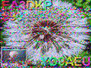 12/06/2026 à 17h41