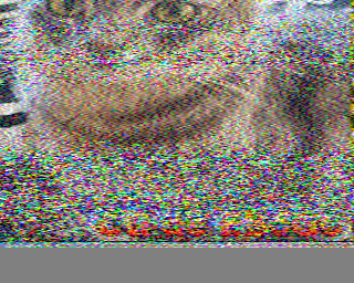 16/06/2026 à 10h28