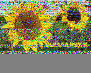 19/06/2026 à 11h00