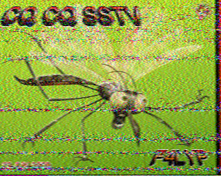 22/06/2026 à 16h54