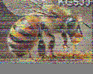 28/06/2026 à 01h16