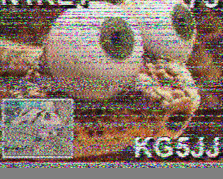 29/06/2026 à 05h07