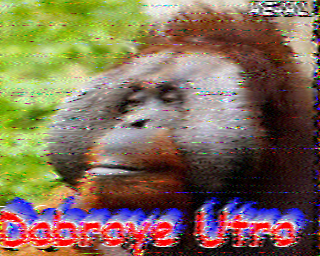 29/06/2026 à 03h39