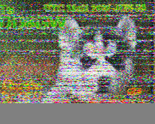 29/06/2026 à 11h52