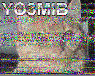 20/07/2026 à 15h13
