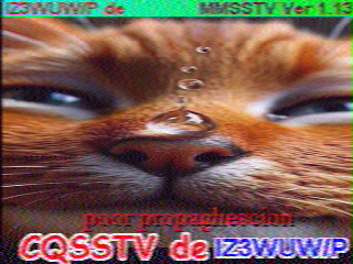 11/08/2026 à 09h32
