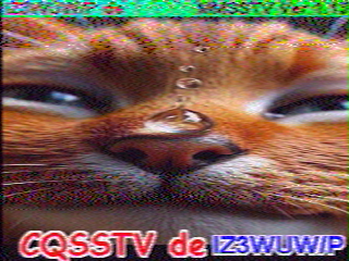 11/08/2026 à 13h42
