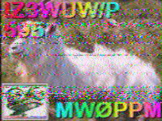 13/08/2026 à 11h01