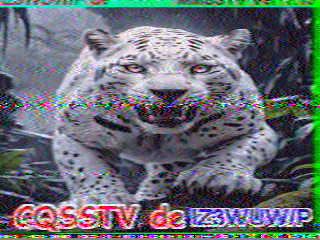 13/08/2026 à 11h25