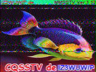 13/08/2026 à 11h26