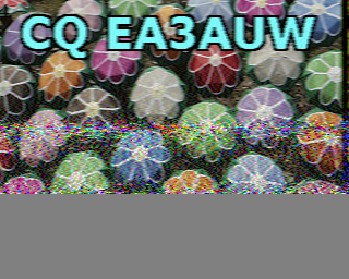 15/08/2026 à 12h19