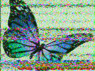 16/08/2026 à 09h55