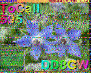 16/08/2026 à 11h53