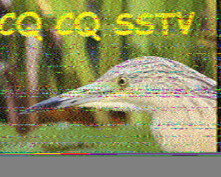 19/08/2026 à 08h55