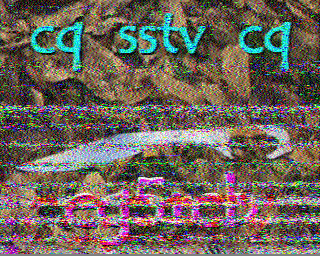 19/09/2026 à 08h02