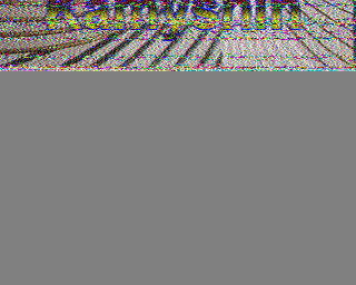 19/09/2026 à 08h03