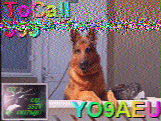 19/09/2026 à 06h05