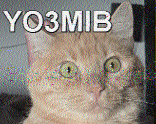 23/09/2026 à 15h37