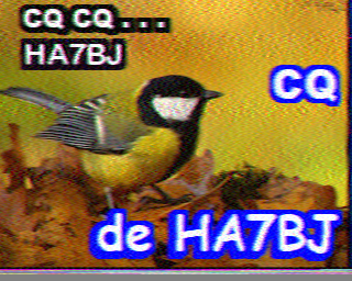 26/09/2026 à 11h37