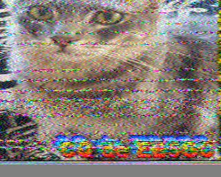 01/10/2026 à 10h37