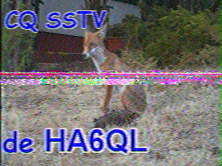 03/10/2026 à 13h50