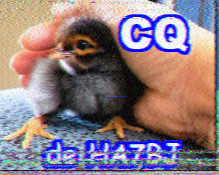 10/10/2026 à 11h31