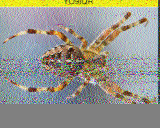 10/10/2026 à 15h37