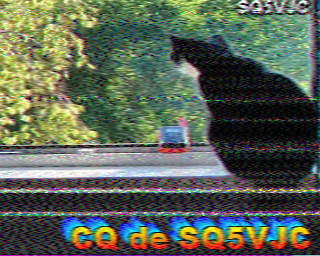 11/10/2026 à 15h07